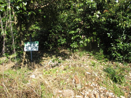 せせらぎルート登山口